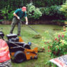 Lawn Treatment